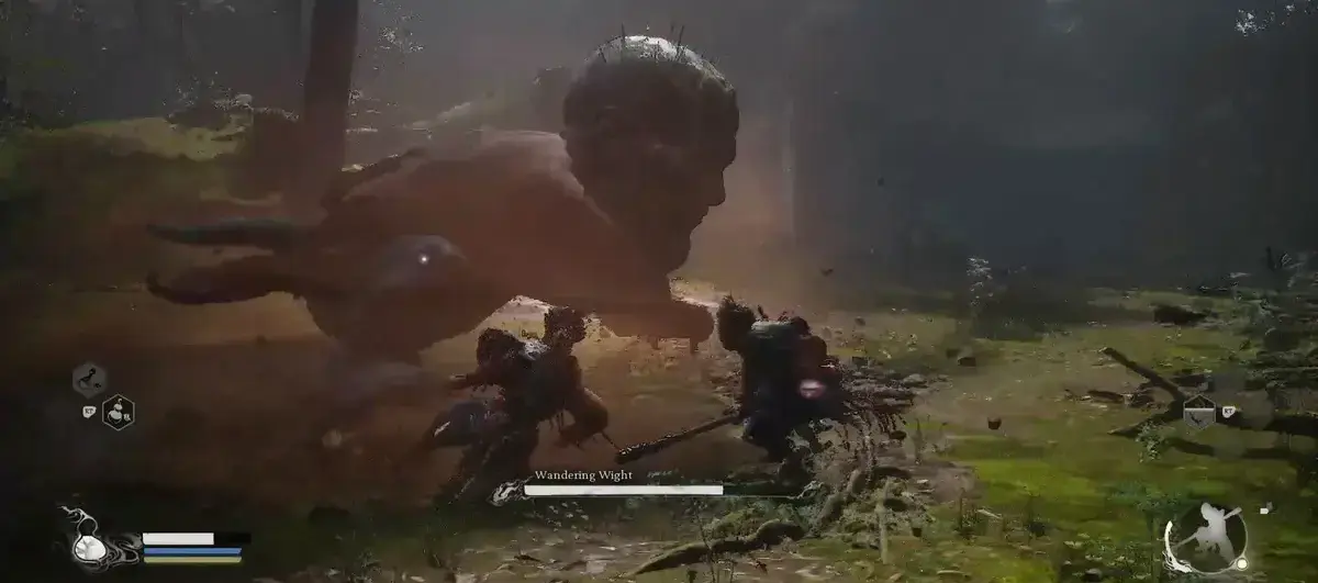 Wandering Wight fight