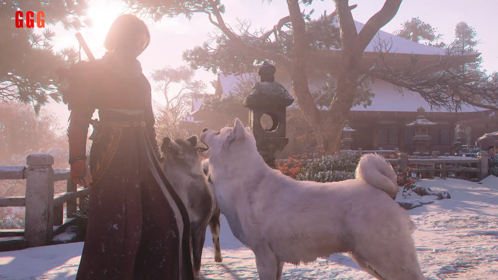 assassin's creed shadows Petting Animals