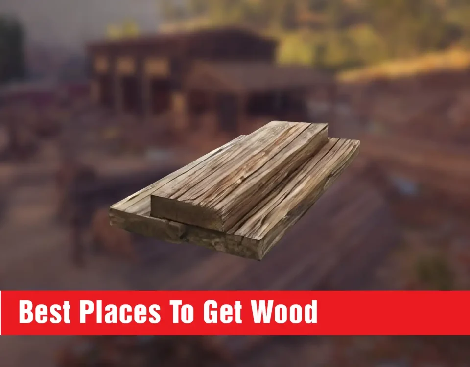 Best Places To Get Wood in Assassin’s Creed Shadows