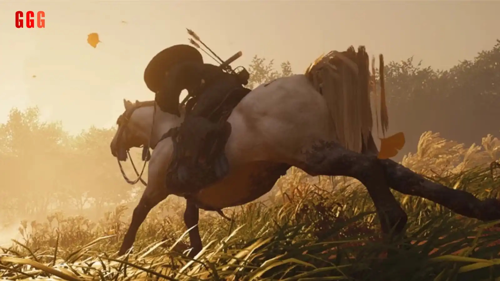 ghost of tsushima geraphic