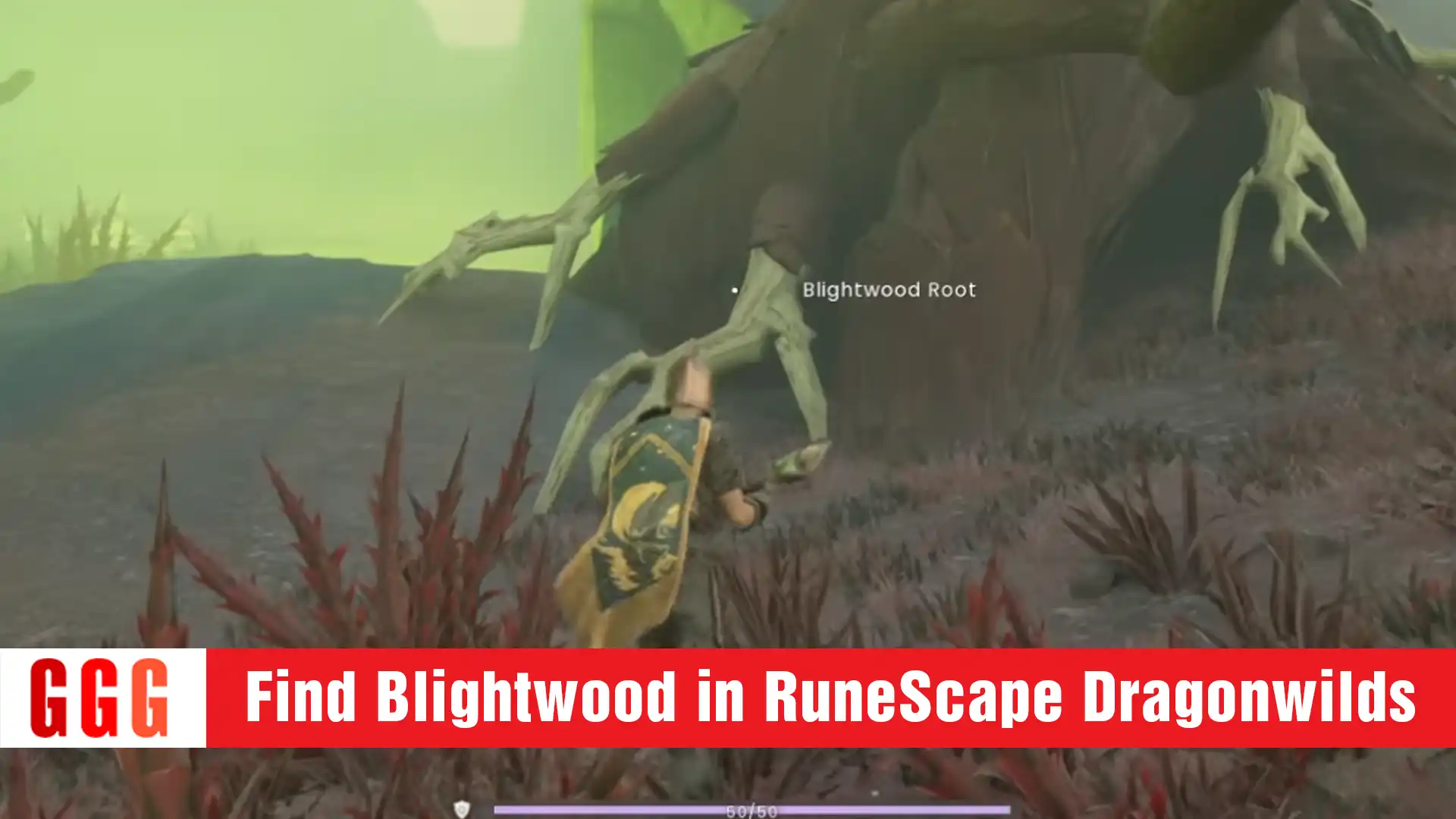 1 How to Find Blightwood in RuneScape Dragonwilds
