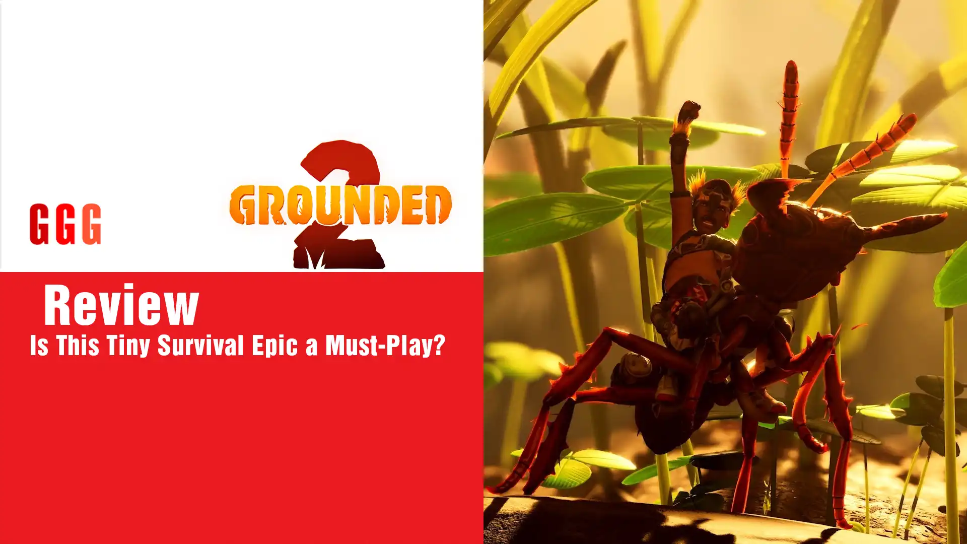 10 Grounded 2 Review