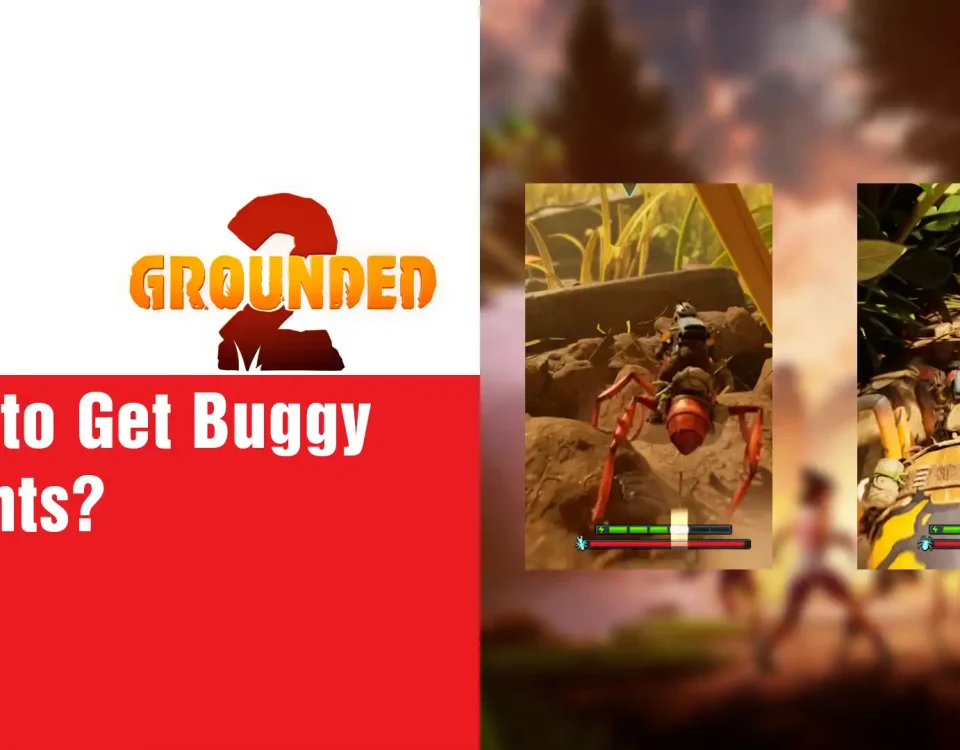 12 Grounded 2 Buggy Mounts