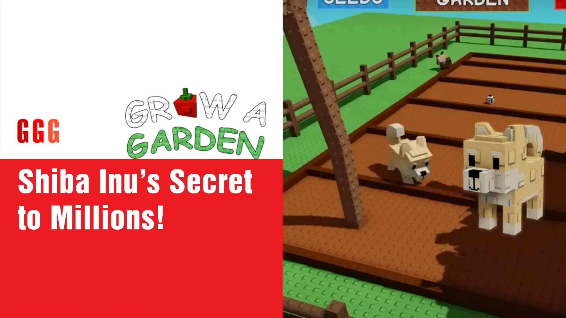 3 Grow a Garden SHIBA INU pet