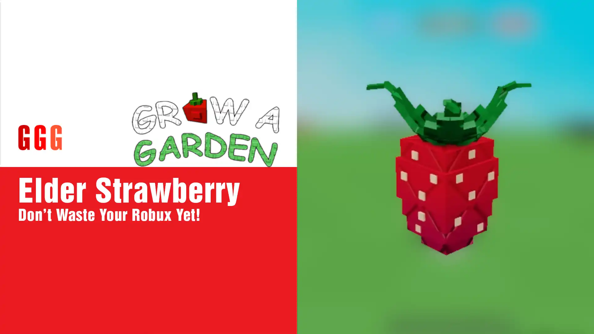 5 Grow a Garden Elder Strawberry