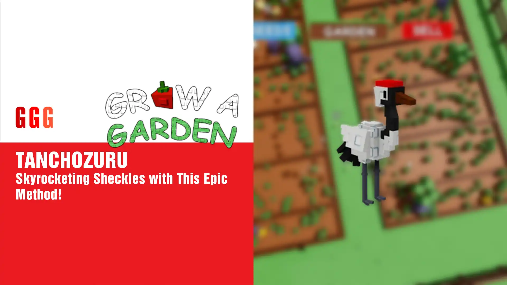 5 Grow a Garden TANCHOZURU