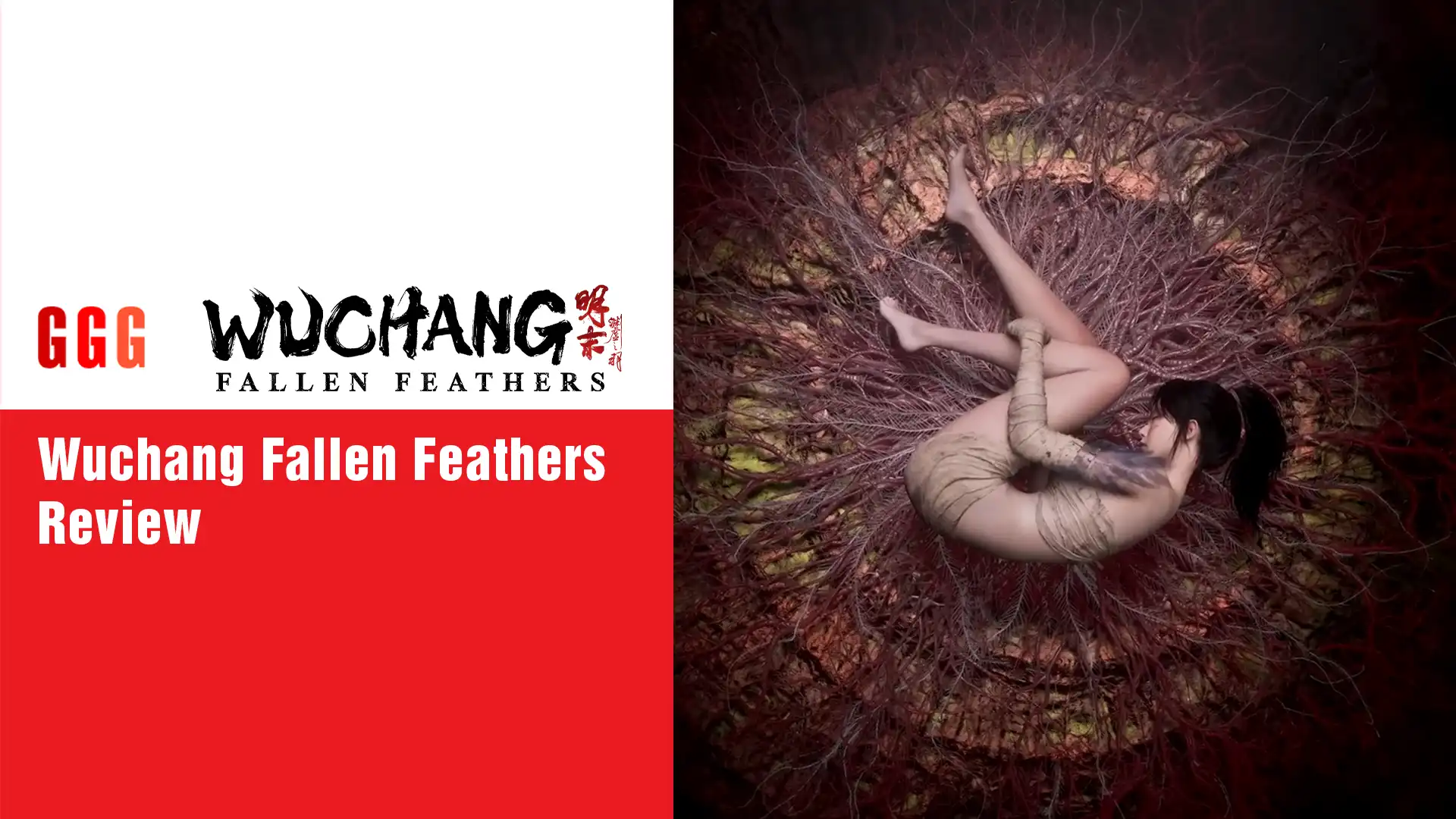 Wuchang Fallen Feathers Review