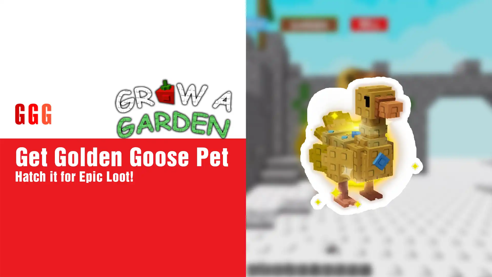 3 Get Golden Goose Pet in Grow A Garden