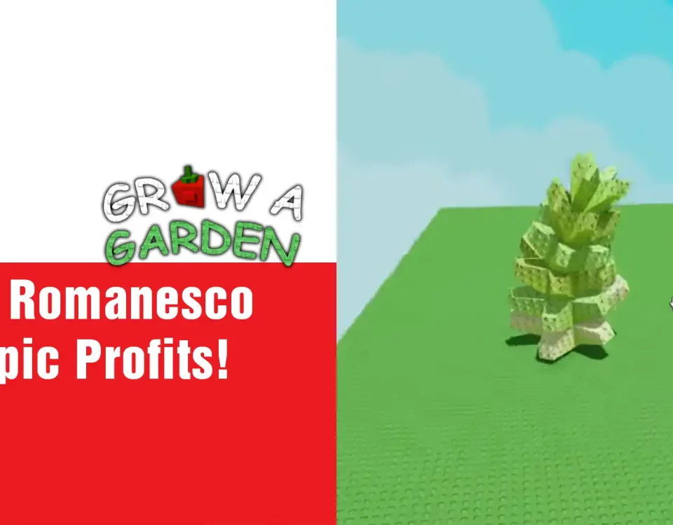 3 ROMANESCO In Grow A Garden