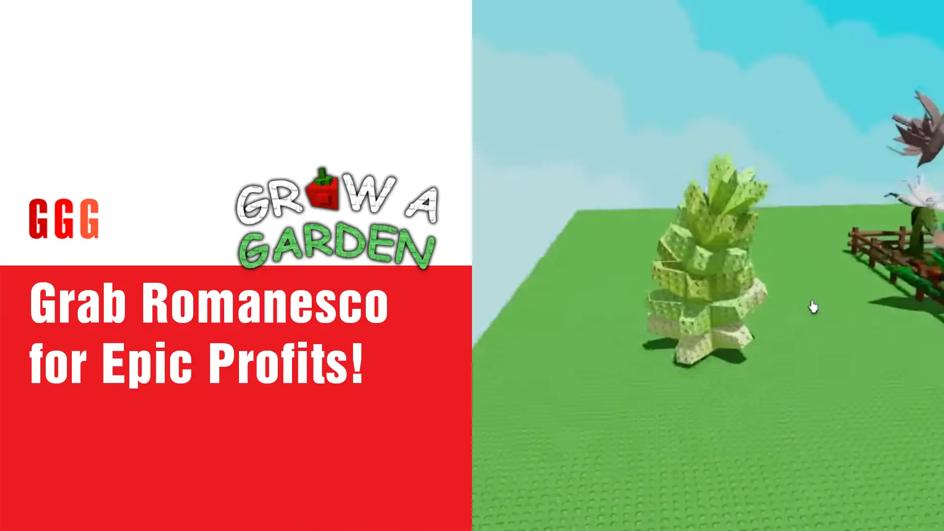 3 ROMANESCO In Grow A Garden