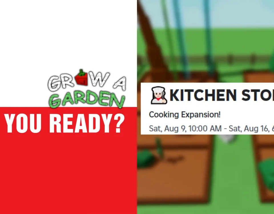 5 KITCHEN STORM UPDATE