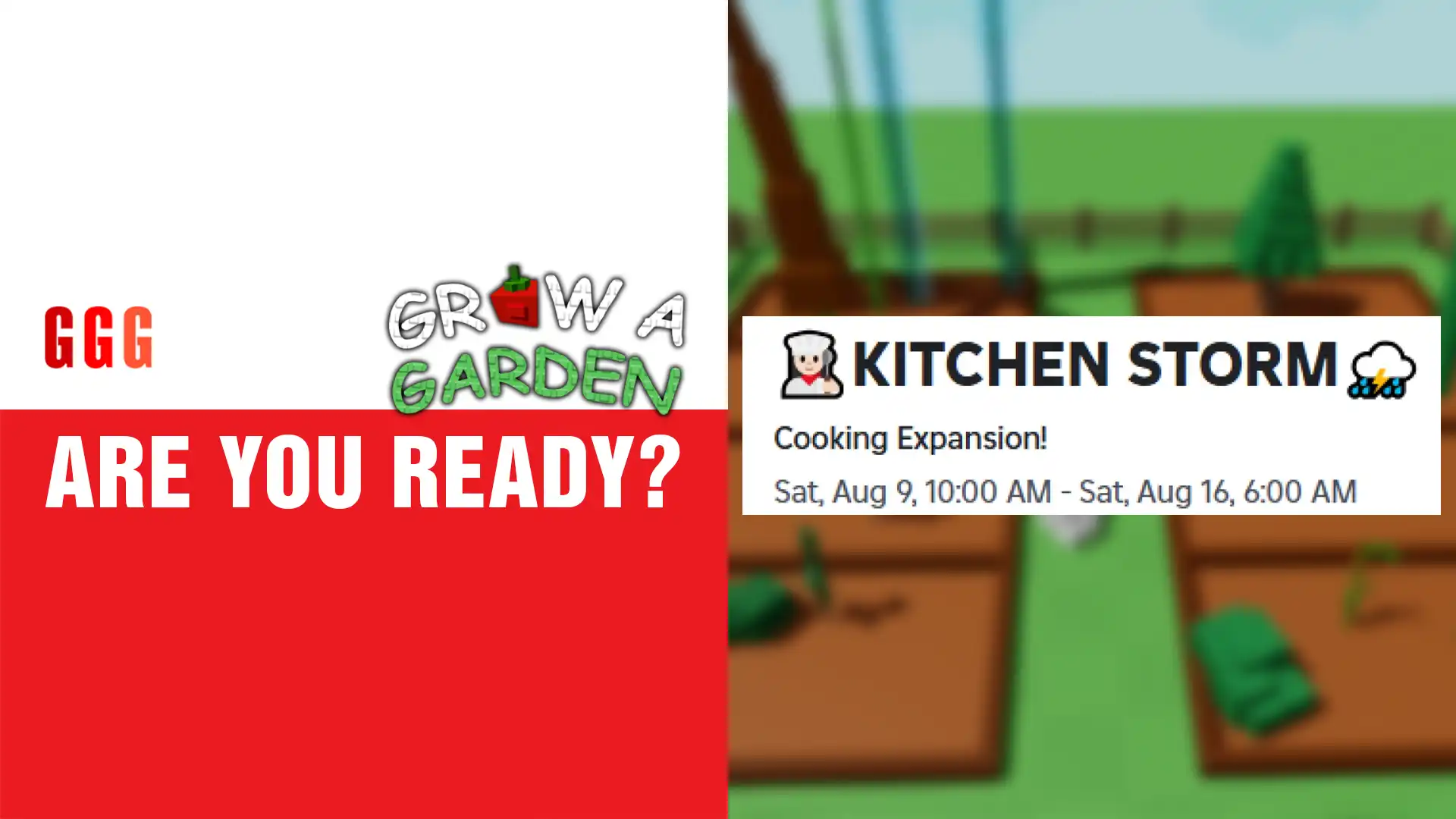 5 KITCHEN STORM UPDATE