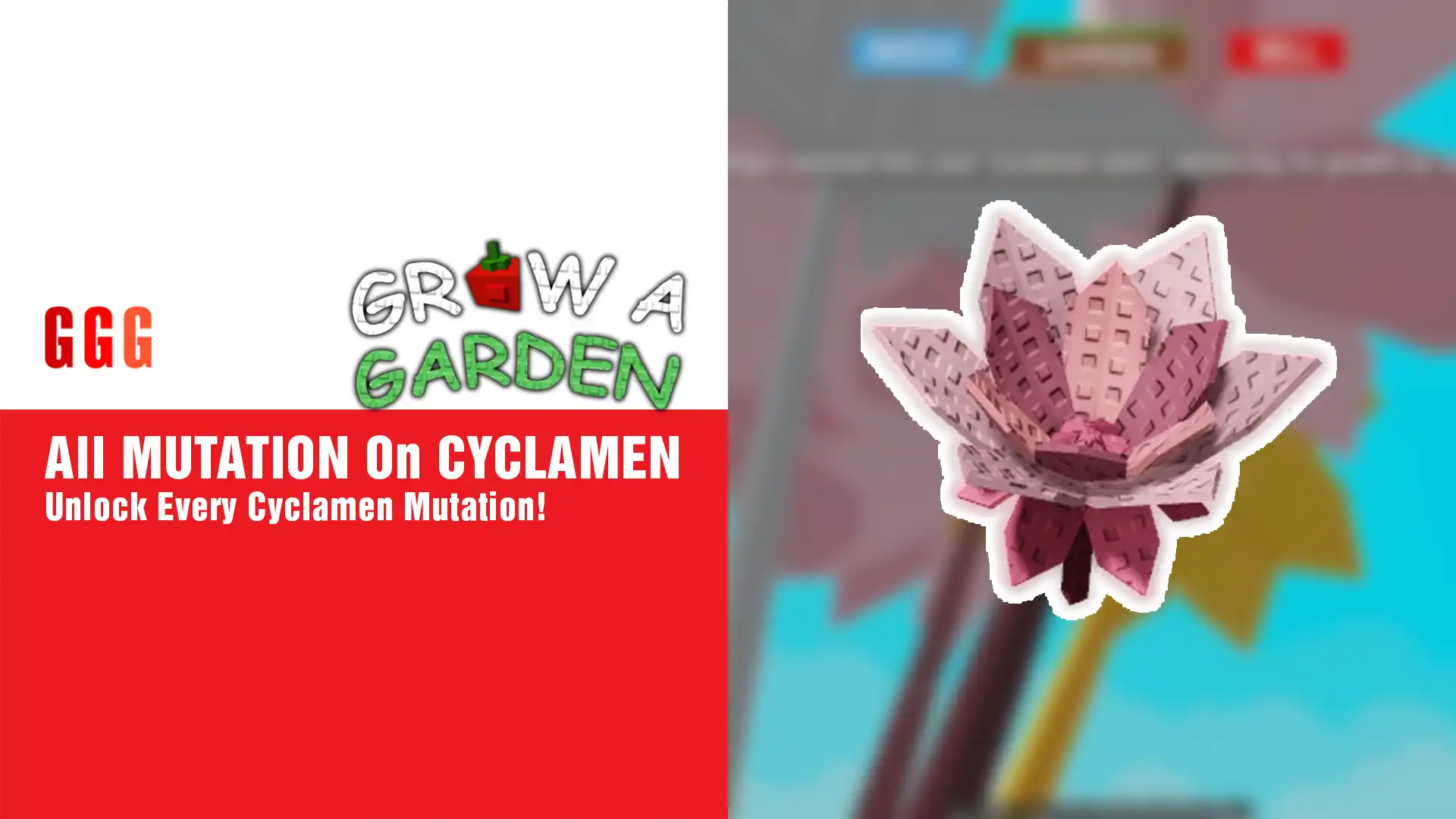 7 All MUTATION On CYCLAMEN In Grow A Garden
