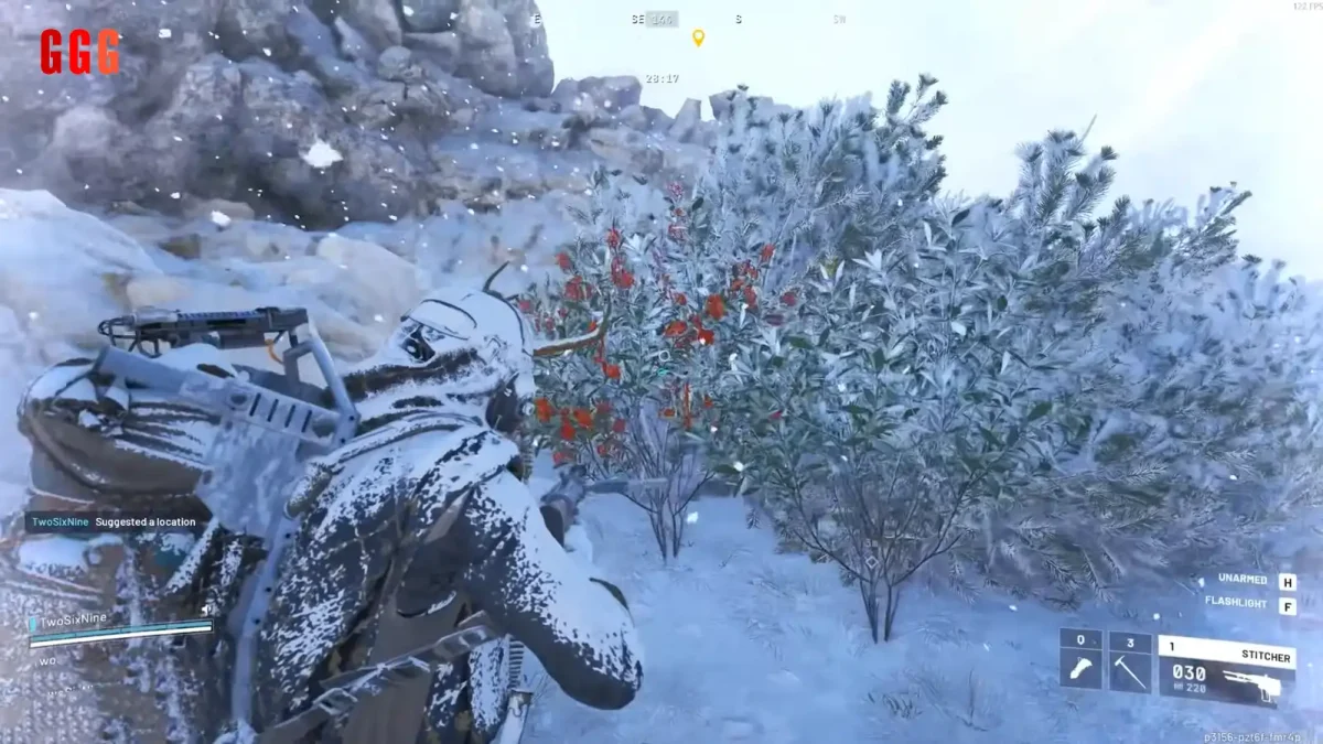 2 Get Candleberries in ARC Raiders